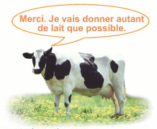 Merci. Je vais donner autant de lait que possible.
